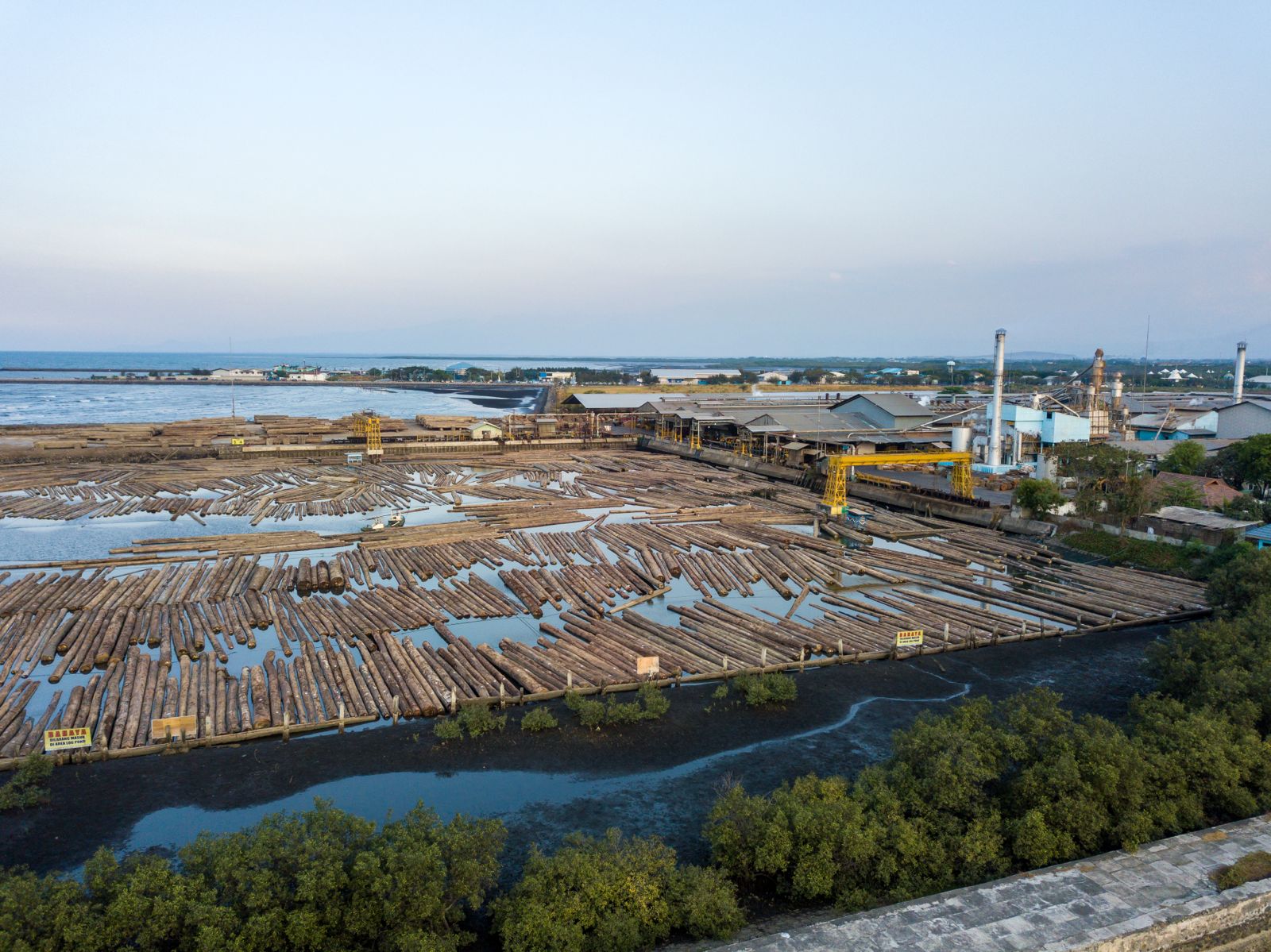 Forestry worker scanning barcode-tagged logs with satellite monitoring and digital tracking system